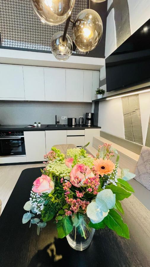 Design-Apartments Am Kaisersaal Ерфурт Екстериор снимка